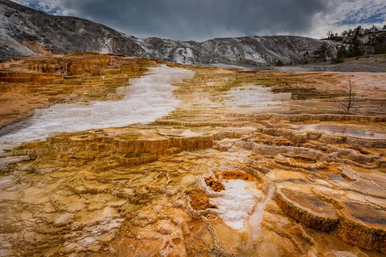 039 Yellowstone NP, mammoth hot springs.jpg